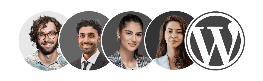 wordvell-trusted-by-experts-widget