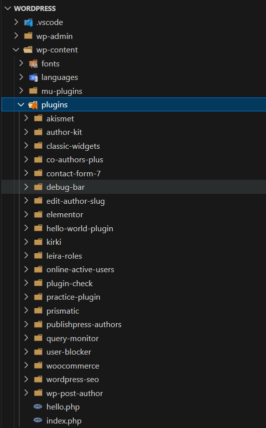 WordPress folder structure in VS Code showing plugins saved inside the wp-content directory under the plugins folder.
